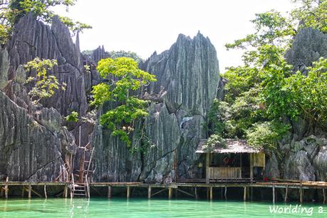 CORON: SKELETON WRECK, KAYANGAN, TWIN Y BARRACUDA LAKES