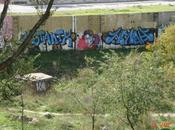 Parques engalanados grafitis reyezuelos