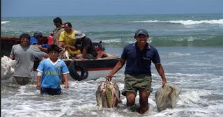 PESCADORES ARTESANALES RECIBEN APOYO DE LA MUNICIPALIDAD DE CERRO AZUL…