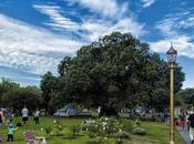Fotos.Paisaje urbano