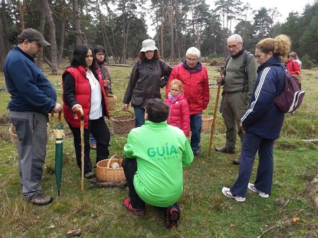 II JORNADAS DE INICIACIÓN A LA MICOLOGÍA DE CONDEMIOS DE ARRIBA ( Parte I )