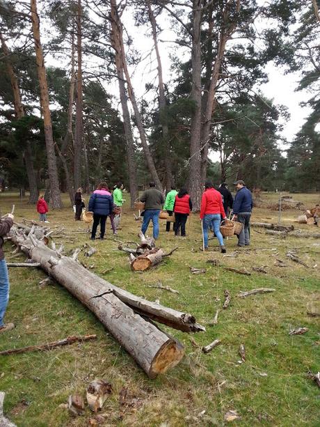 II JORNADAS DE INICIACIÓN A LA MICOLOGÍA DE CONDEMIOS DE ARRIBA ( Parte I )