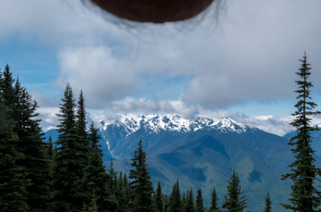 Una foto bonita... ¡¡ mis pelotas !!  [#nutscaping]