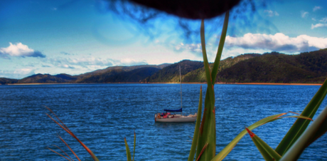 Una foto bonita... ¡¡ mis pelotas !!  [#nutscaping]