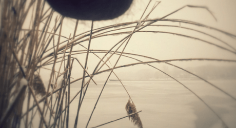 Una foto bonita... ¡¡ mis pelotas !!  [#nutscaping]