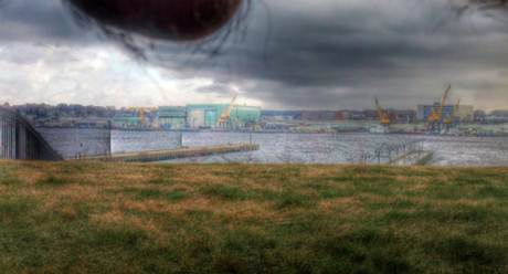 Una foto bonita... ¡¡ mis pelotas !!  [#nutscaping]