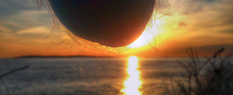 Una foto bonita... ¡¡ mis pelotas !!  [#nutscaping]