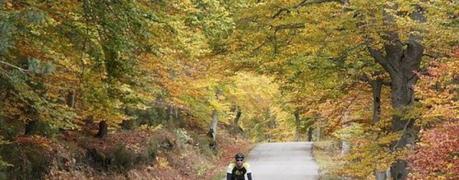 Frases motivadoras para el ciclismo