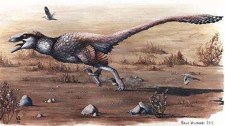 Descubren nuevo raptor con plumas.