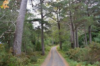 Irlanda en 10 días (IV): Gap of Dunloe, castillo de Blarney y Cork