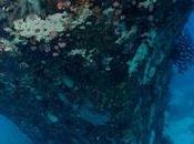 Descubriendo Maldivas: Pecios