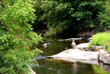 15 DATOS CURIOSOS SOBRE EL RECICLAJE