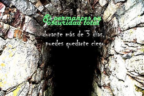 CURIOSIDADES SORPRENDENTES