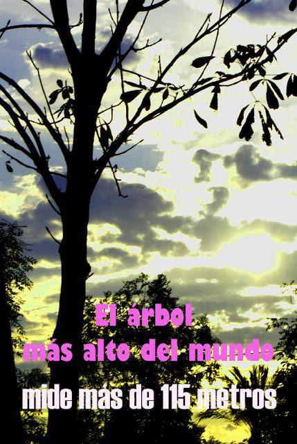 CURIOSIDADES SORPRENDENTES