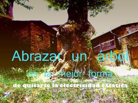 CURIOSIDADES SORPRENDENTES