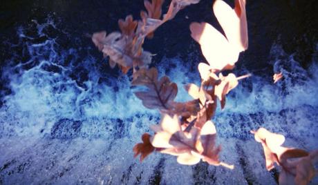 11219579_10153441118003138_7728818451176899754_n (1)