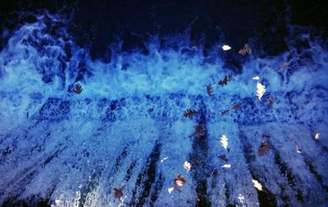 12227131_10153441118228138_4516268330788916412_n