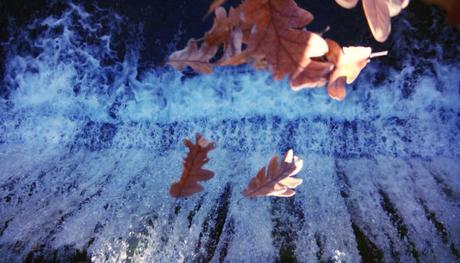 12208767_10153441118133138_206208910483789865_n