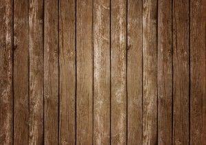 foto con sombras suaves mejora el diseño de tu web haciendo fotos increibles