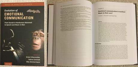 La primera música 'científicamente verificada' para atraer a los gatos