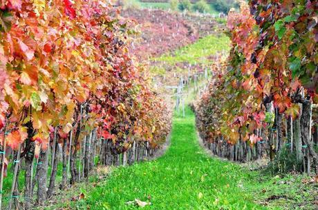 LUNA DE MIEL: ESLOVENIA