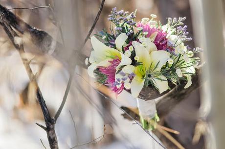 →Frío Invierno. PostBoda ←