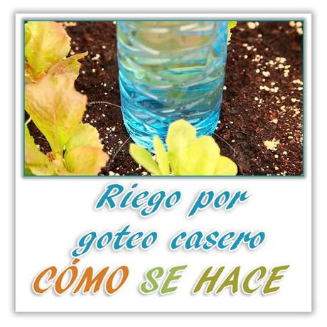 RIEGO POR GOTEO CASERO.