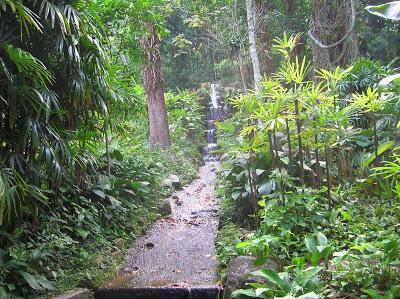 Cascada en el Jardín Botánico de Río Cascada, Jardín Botánico, jardim Botânico, Rio de Janeiro, Brasil, La vuelta al mundo de Asun y Ricardo, round the world, mundoporlibre.com