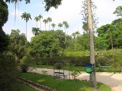 Jardín Botánico de Río de Janeiro Jardín Botánico, jardim Botânico, Rio de Janeiro, Brasil, La vuelta al mundo de Asun y Ricardo, round the world, mundoporlibre.com
