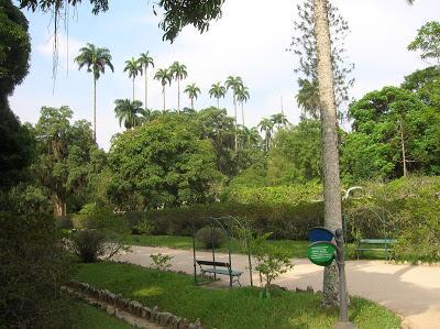 Jardín Botánico, jardim Botânico, Rio de Janeiro, Brasil, La vuelta al mundo de Asun y Ricardo, round the world, mundoporlibre.com