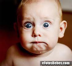 menus navidad, restaurantes madrid, cenar en madrid, donde cenar en madrid, cena de empresa, cena de navidad, navidad 2015