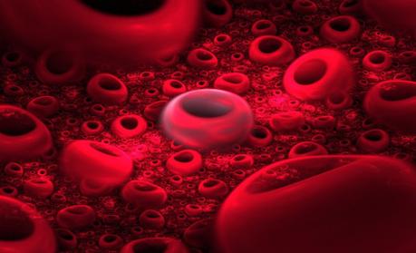 Las propiedades de la sangre podrían ser clave en el futuro de la informática
