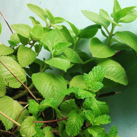 tumblr_nvwuu1o5LG1rw59e8o1_500