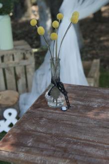 La boda rural de María José y Jesús