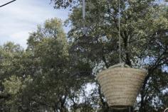 La boda rural de María José y Jesús