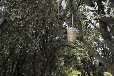 La boda rural de María José y Jesús