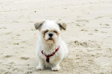 NUEVO TEMA EN HOY COMPARTIMOS!! RETRATOS HAPPY Y CIELOS INSPIRADORES NUEVO TEMA EN HOY COMPARTIMOS!! RETRATOS HAPPY Y CIELOS INSPIRADORES