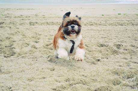 NUEVO TEMA EN HOY COMPARTIMOS!! RETRATOS HAPPY Y CIELOS INSPIRADORES NUEVO TEMA EN HOY COMPARTIMOS!! RETRATOS HAPPY Y CIELOS INSPIRADORES