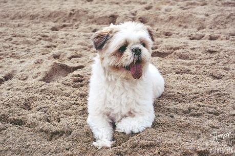 NUEVO TEMA EN HOY COMPARTIMOS!! RETRATOS HAPPY Y CIELOS INSPIRADORES NUEVO TEMA EN HOY COMPARTIMOS!! RETRATOS HAPPY Y CIELOS INSPIRADORES