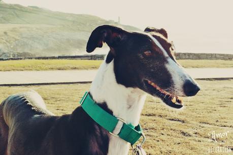 NUEVO TEMA EN HOY COMPARTIMOS!! RETRATOS HAPPY Y CIELOS INSPIRADORES NUEVO TEMA EN HOY COMPARTIMOS!! RETRATOS HAPPY Y CIELOS INSPIRADORES