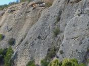 Climbing Margalef-sector Llepafils. Escalando sobre mármol