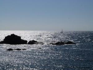 ‘De viaje por nuestras playas: 2ª parada, Cabo de Palos’ 14y