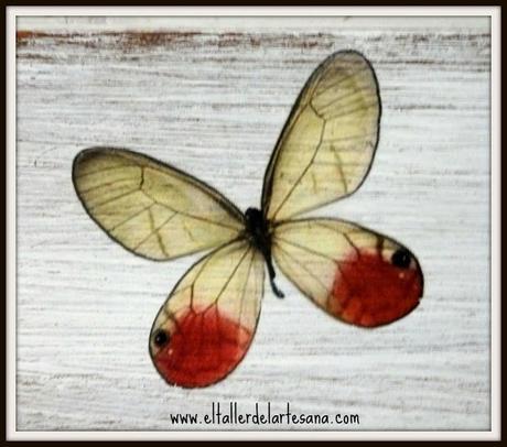 Mas letreros y carteles