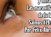 Cómo aplicar principios bíblicos