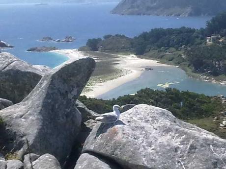 5 Imprescindibles de Galicia