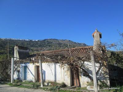 XXXII Festa do Castanherio y Feira da Castanha ( Marvão)