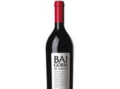 Baigorri Garage 2010, Premio Mejor Vino Rioja Wines From Spain AWARDS 2015 Reino Unido