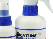 Producto hoy: frontline spray para ácaros parasitos mascotas