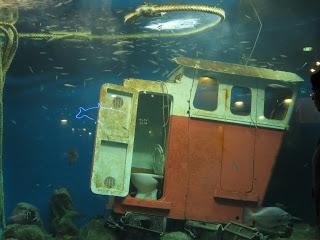 El Acuario de A Coruña, un espacio dedicado a la enseñanza de los niños