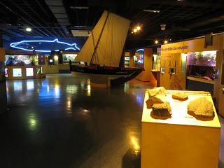 El Acuario de A Coruña, un espacio dedicado a la enseñanza de los niños